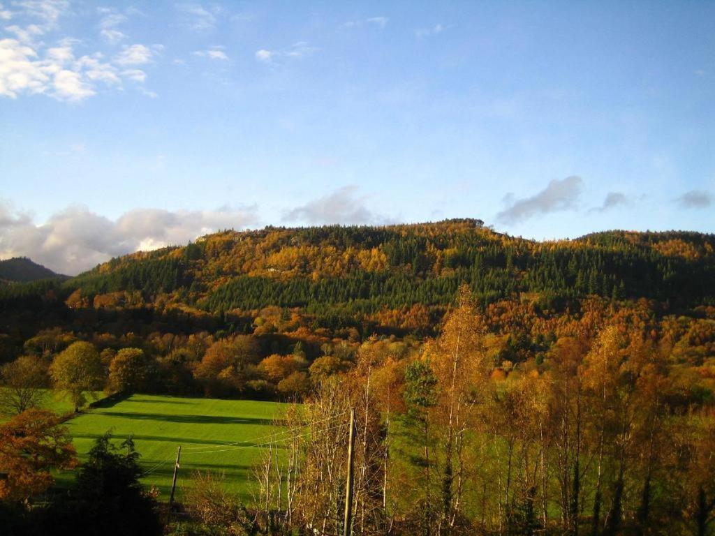 Llety Betws Hotel Exterior foto