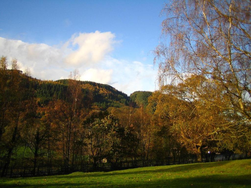 Llety Betws Hotel Exterior foto